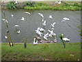 Hythe, Royal Military Canal