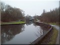 The Tinsley Canal near Wharf Road