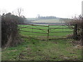 Gate into field near Shutford