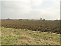 Freshly ploughed field at Badingham