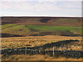 The valley of the Linn Burn south of Westburnhope