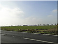 Looking west from the A12 overlooking  a field of Winter wheat