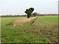 Field boundary ditch south-east of Wheatcroft Farm