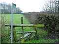 Footpath on a damp morning