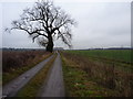 Track to Common Farm