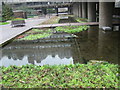 Lakes cut into the grass