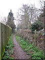 Path behind the houses