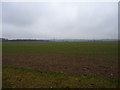 Farmland, looking in the direction of Patmarsh