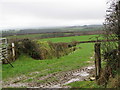 Fields near Higher Crabdown