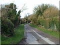 Lane down from Kithurst car park