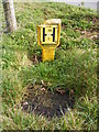 TM3667 : Fire Hydrant on Rendham Road by Geographer
