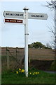 Finger post, Bishopstone