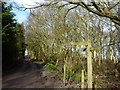 Bridleway, footpath