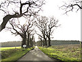 TF8220 : Private Road - Public Footpath at Rougham, Norfolk by Adrian S Pye