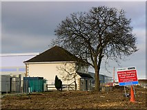 SU1788 : A tree and 13 Highworth Road, Stratton, Swindon by Brian Robert Marshall