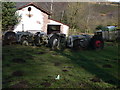 Old Massey Ferguson tractors at Tir-y-Coed Farm