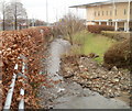 Cryddan Brook, Neath