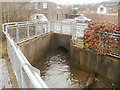 Cryddan Brook emerges from a tunnel under Briton Ferry Road, Neath