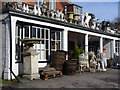 Antiquarian Shop, Hindhead