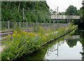 Canal and railway near Bournville, Birmingham