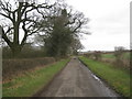 The lane to Holtham Garrs