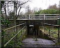 The A31 underpass at Neatham