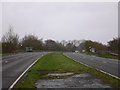 Bus stops on the A31 near Holybourne