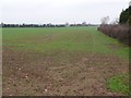 Countryside Near Chesterton Fields Farm