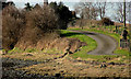 Track near Reagh Island, Strangford Lough