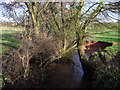 Stream passing under Trawsmawr lane, Bettws