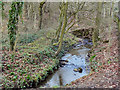 Kempnough Brook, Worsley Woods