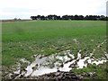 Wet fields, Wormiston