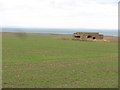 Pillbox, Wormiston