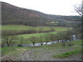 View in the Vale of Llangollen