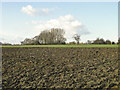 TM3661 : Ploughed field belonging to Kilkeni Walnut Tree Farm by Adrian S Pye