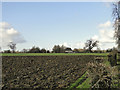 Kilkeni Walnut Tree Farm across the fields