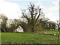 Pink thatched cottage in the trees at Stratford St. Andrew