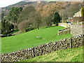 Pie Gill Well