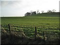 SP1467 : Botley Hill from the northeast by Robin Stott