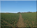 Footpath to Old Hawkinge