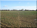 Footpath to Hurst Lane