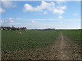 Footpath to Whitehouse Lane