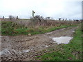 Bridleway sign and footpath waymarkers between Norton and Horton