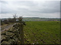 On hillside above New Mills