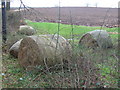 Hay Bales on Old Lane