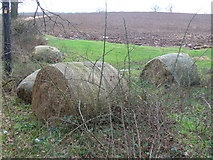 TQ0956 : Hay Bales on Old Lane by Colin Smith