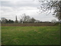 Vineyard at Bleasby Moor