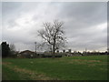 Poultry units at Lissington Top