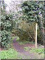 Footpath to Rosemary Lane