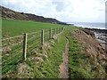 SS4985 : Part of the coastal path towards Oxwich Point by Jeremy Bolwell